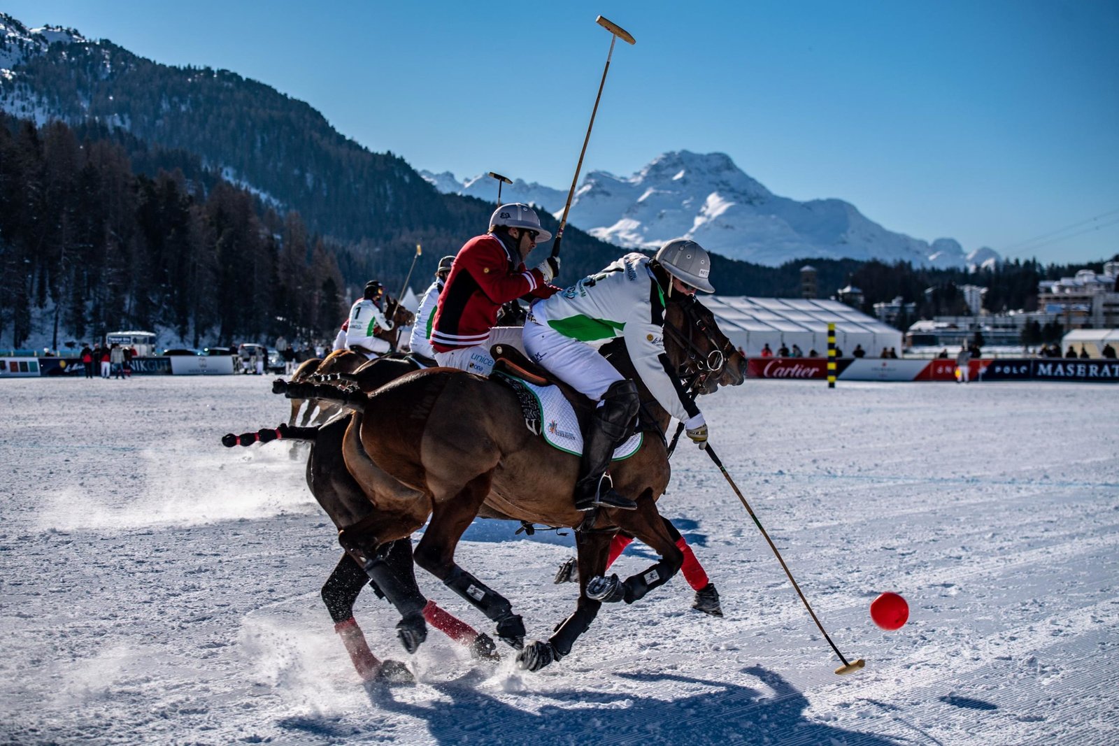 Snow Polo St Moritz Le sport Suisse on the Web