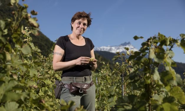 Anne Muller Le Vin Yvorne Bio